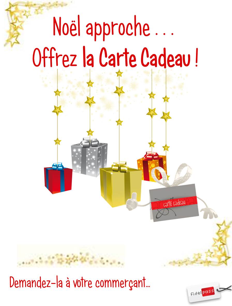 noel-approche